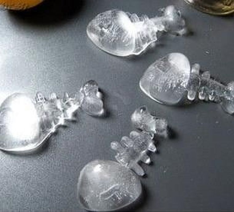 Rybki, foremka lodowa