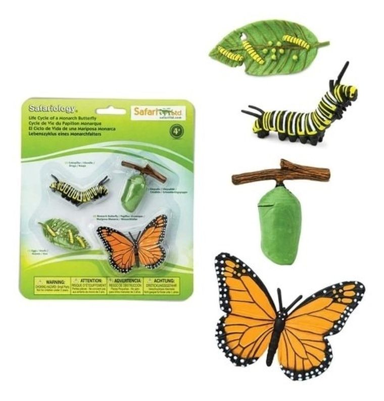 Safari Ltd, zestaw figurek, cykl życia motyla