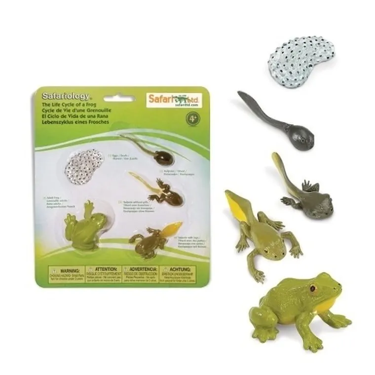 Safari Ltd, zestaw figurek, cykl życia żaby