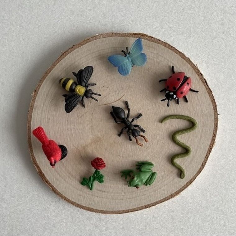 Safari Ltd, zestaw mini figurek, życie w ogrodzie