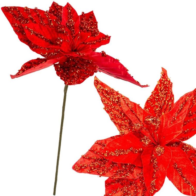 Saska Gift, gwiazda betlejemska, 30 cm