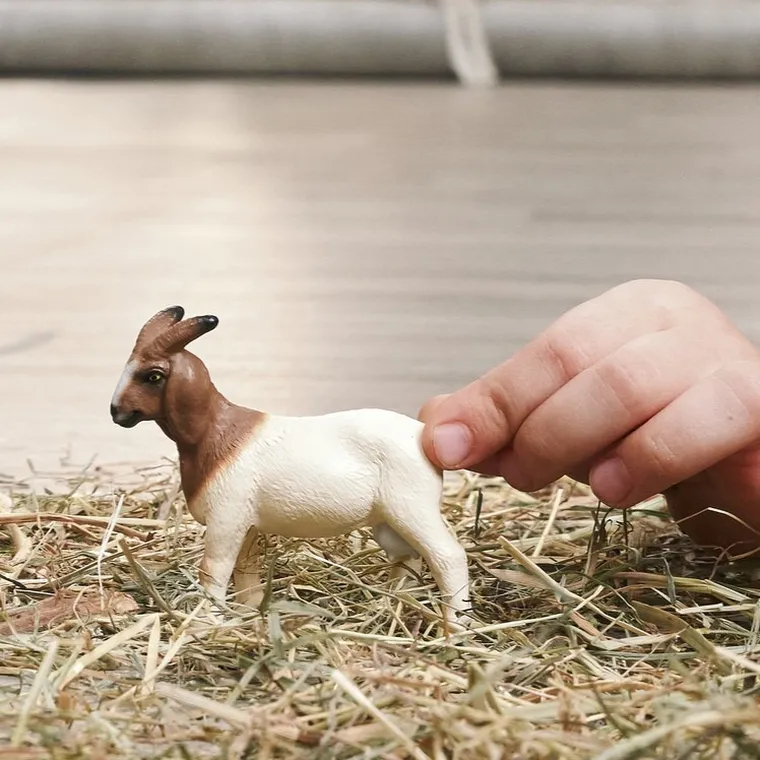 Schleich, Farm World, Koza burska, figurka, 14929