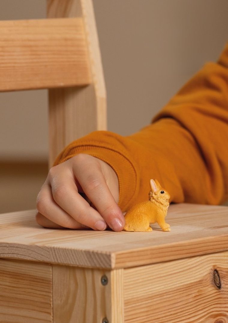 Schleich, Farm World, Królik lwi, figurka, 13974