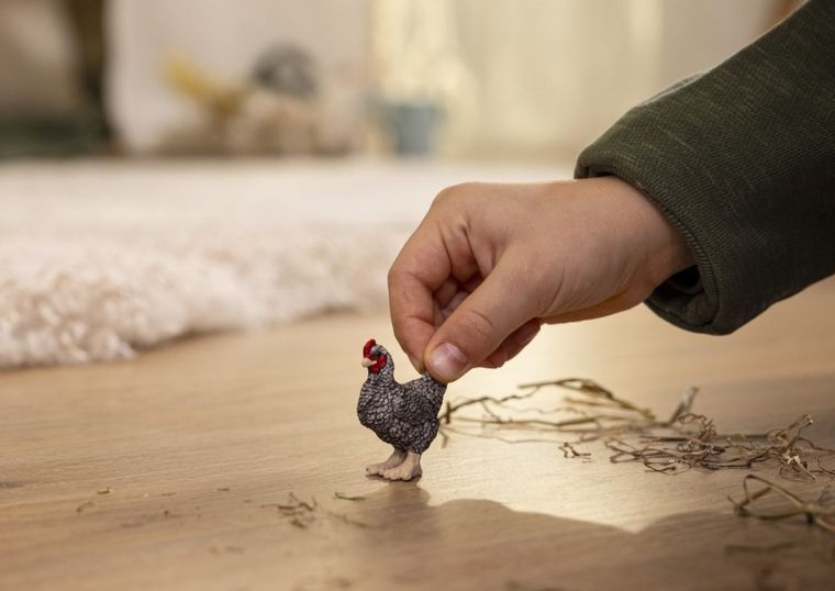 Schleich, Farm World, Kura rasy Plymouth Rock, figurka, 13997