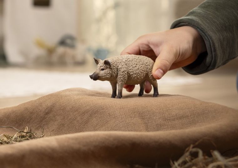 Schleich, Farm World, Mangalica, figurka, 14892