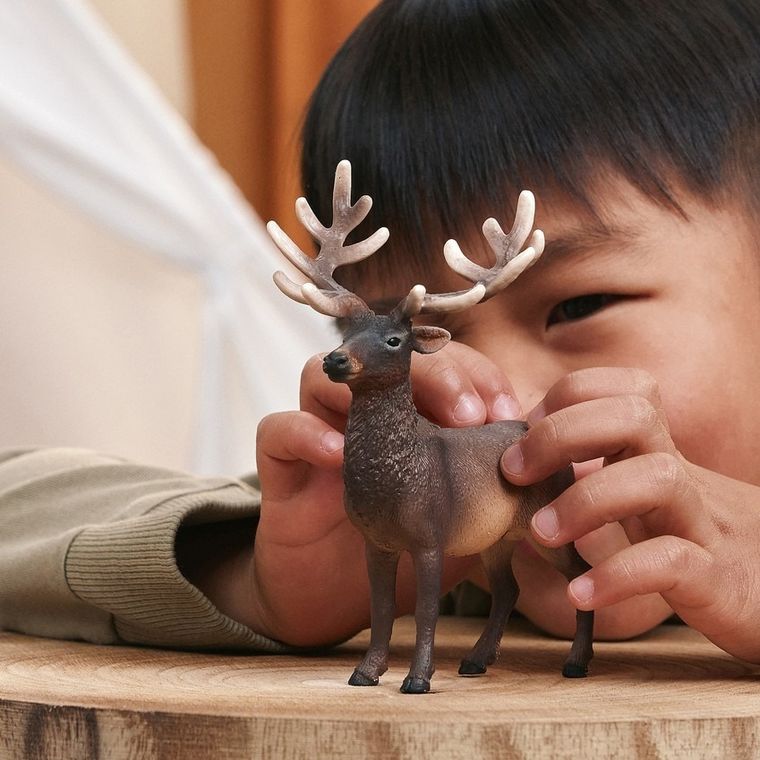 Schleich, Wild Life, Jeleń Amerykański, figurka, 14992