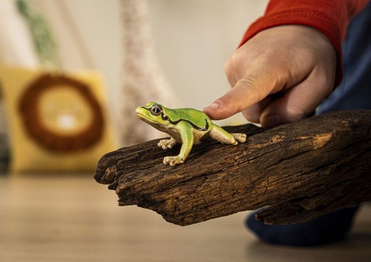 Schleich, Wild Life, Rzekotka drzewna, figurka, 14882