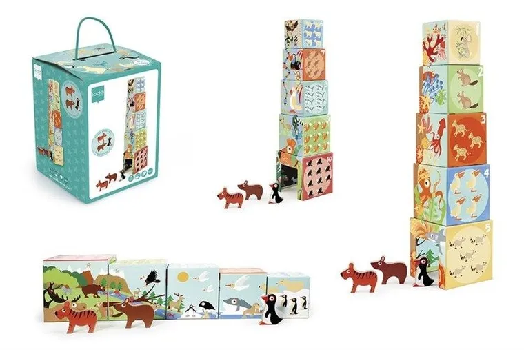 Scratch, Dzikie zwierzęta, piramida edukacyjna, 5 elementów