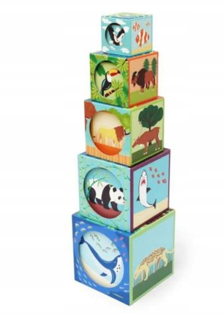 Scratch, piramidka edukacyjna, zwierzęta