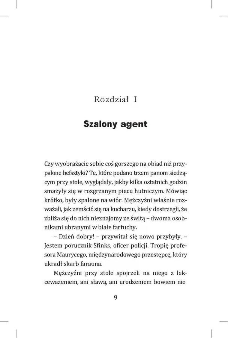 Sfinks w (o)błędzie. Koty