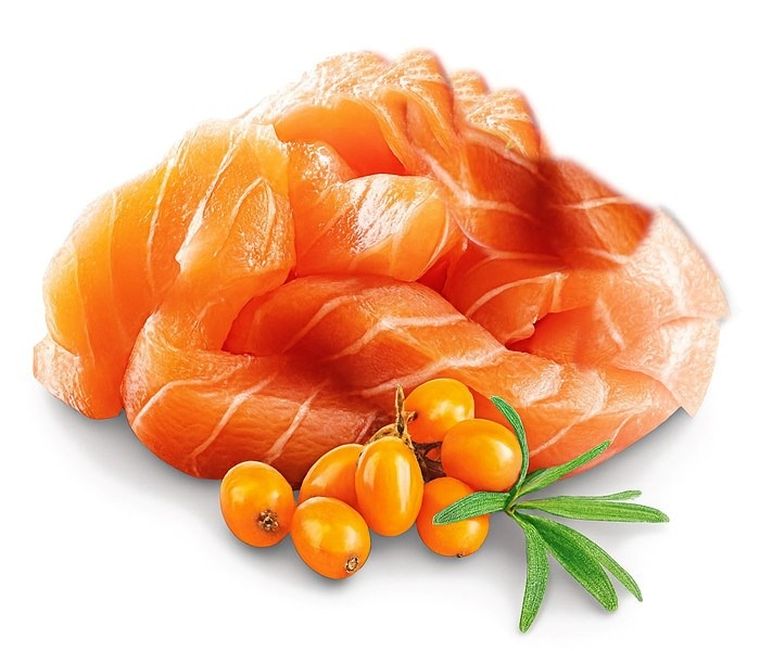 Shelma, łosoś i rokitnik, mokra karma dla kociąt, 85g