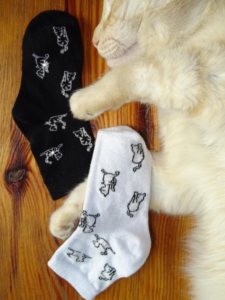 Skarpetki dziecięce, czarno-białe, Milusie