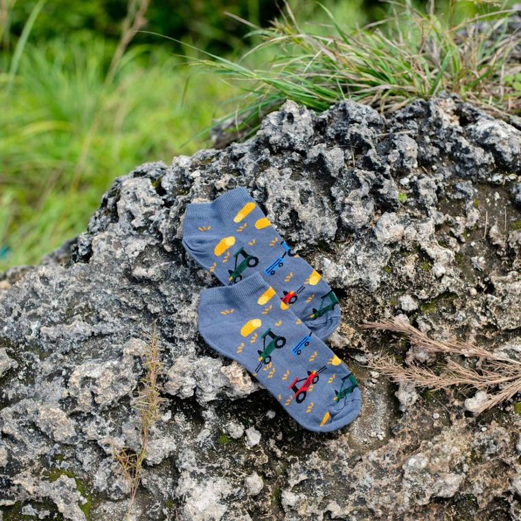 Skarpetki męskie, stopki, szare, Adrian