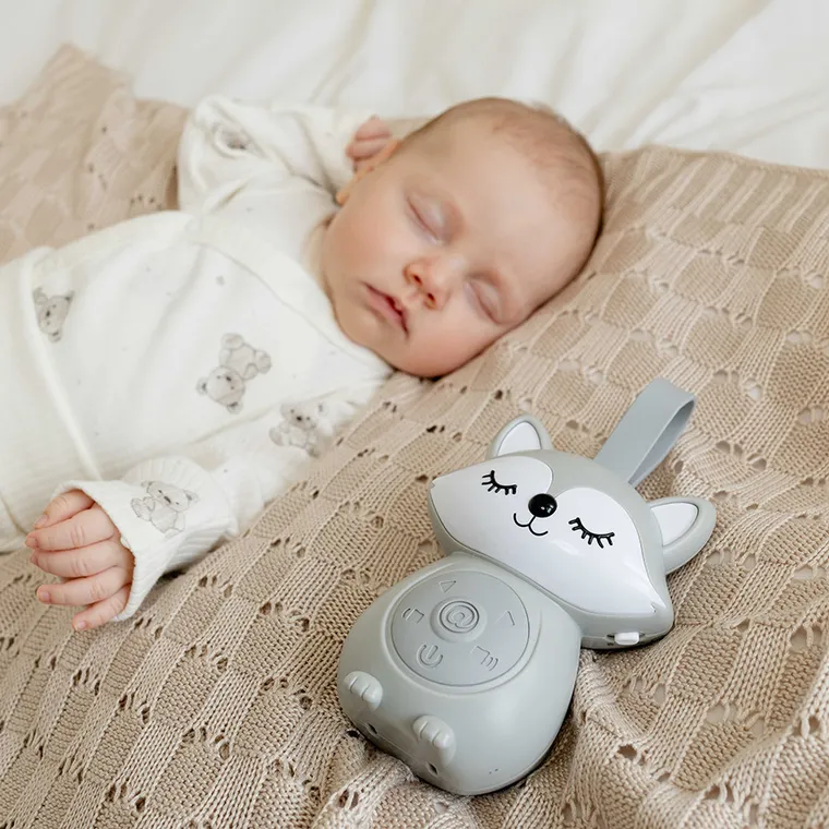 Smiki, Lis, pozytywka przenośna, szara