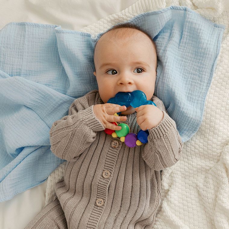 Smiki, Very Bunny, Gąsienica, gryzak wodny