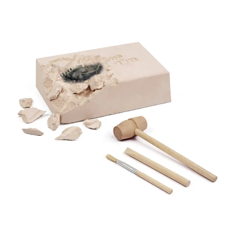 Smiki, Wykopaliska, szkielet dinozaura, zestaw naukowy