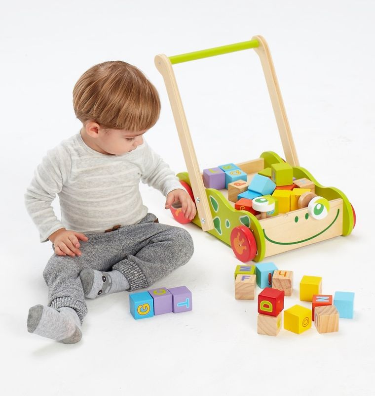 Smiki, Żaba, drewniany pchacz z klockami