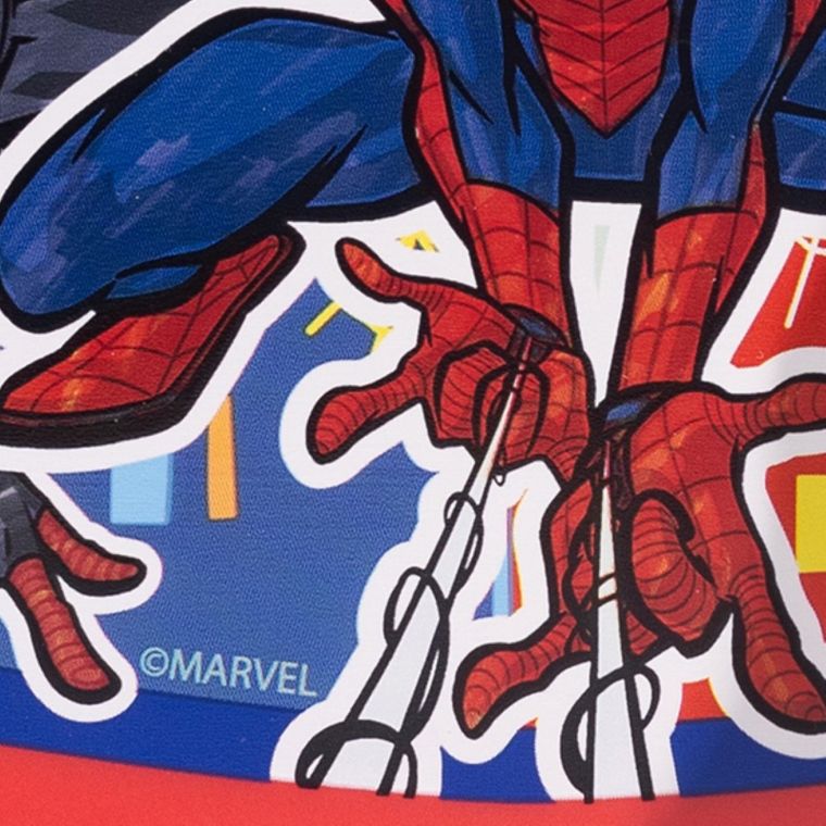 Spider-Man, Urban, lunchbox