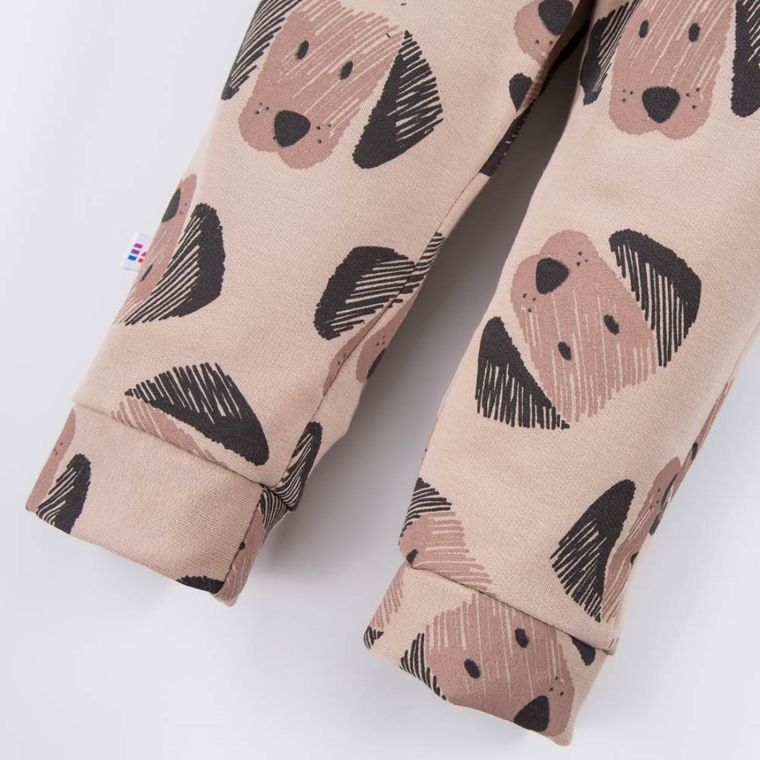 Spodnie dresowe chłopięce, beżowe, Eevi