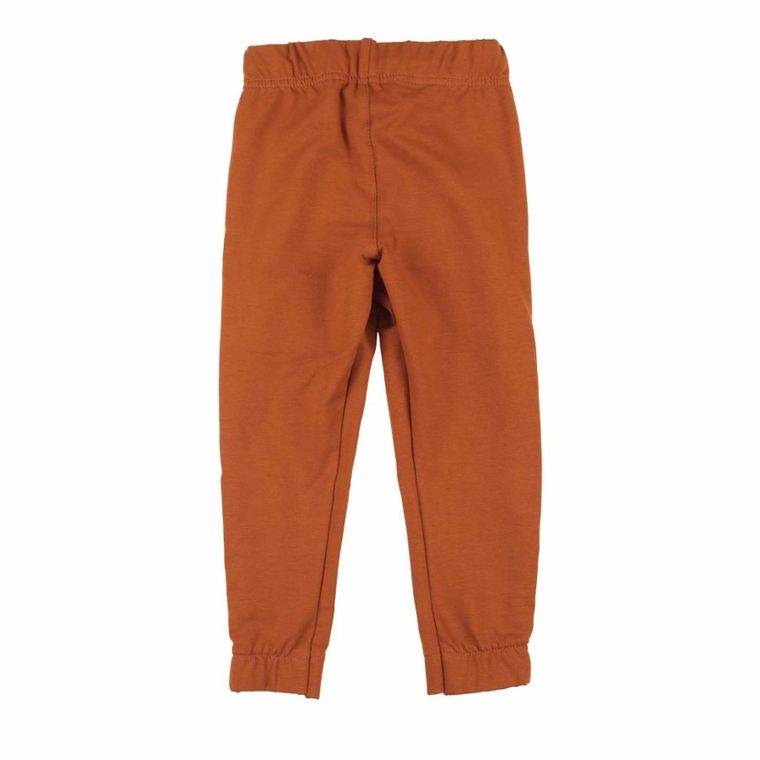 Spodnie dresowe chłopięce, brązowe, Tup Tup