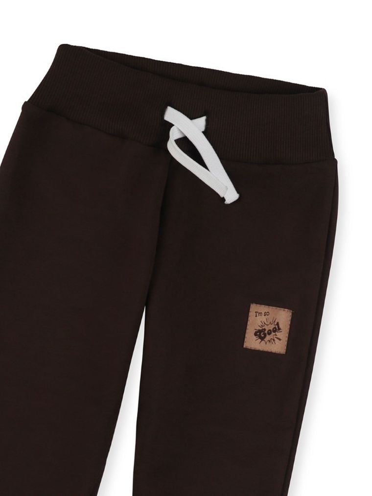 Spodnie dresowe chłopięce, brązowe, Tup Tup