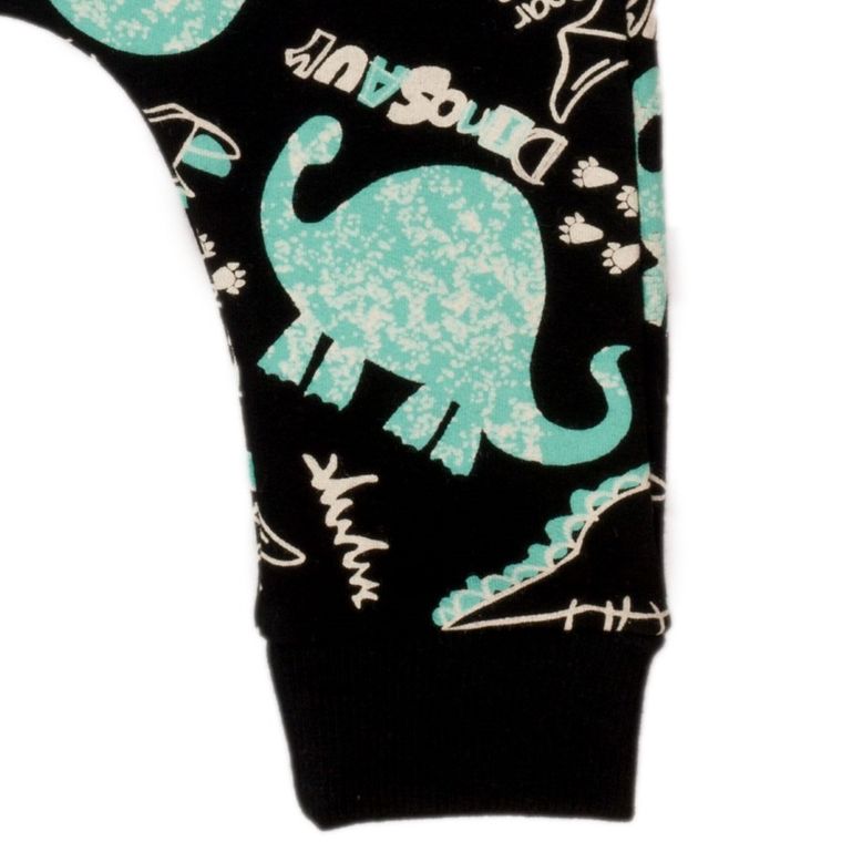 Spodnie dresowe chłopięce, mix, dinozaury, Nicol