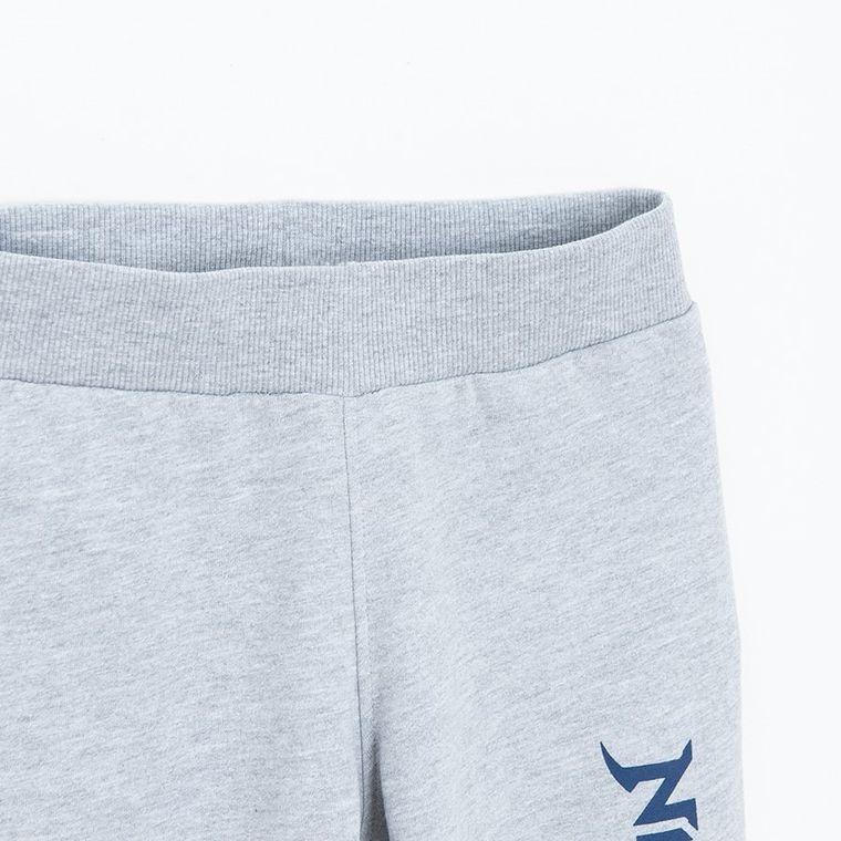 Spodnie dresowe chłopięce, szare, LEGO Ninjago