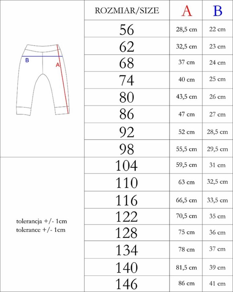 Spodnie dresowe chłopięce, szare, Nicol