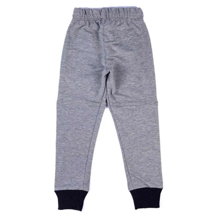 Spodnie dresowe chłopięce, szare, Tup Tup