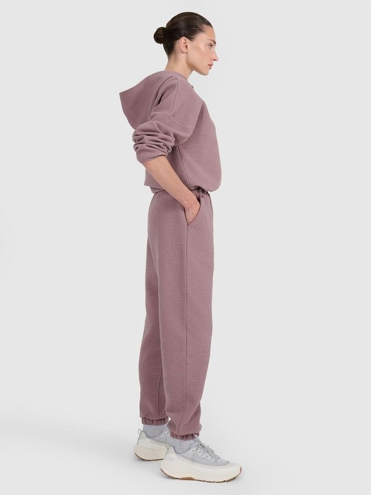 Spodnie dresowe damskie, brązowe, 4F