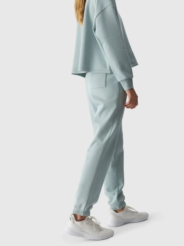 Spodnie dresowe damskie, szare, 4F