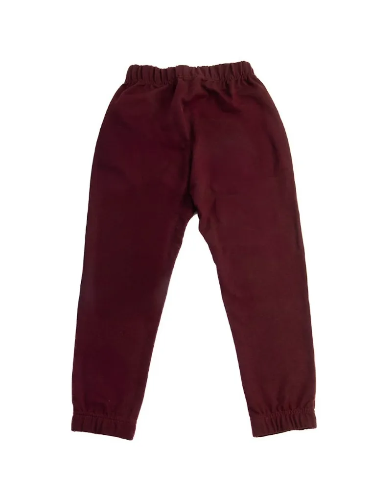 Spodnie dresowe dla chłopca, bordowe, Tup Tup