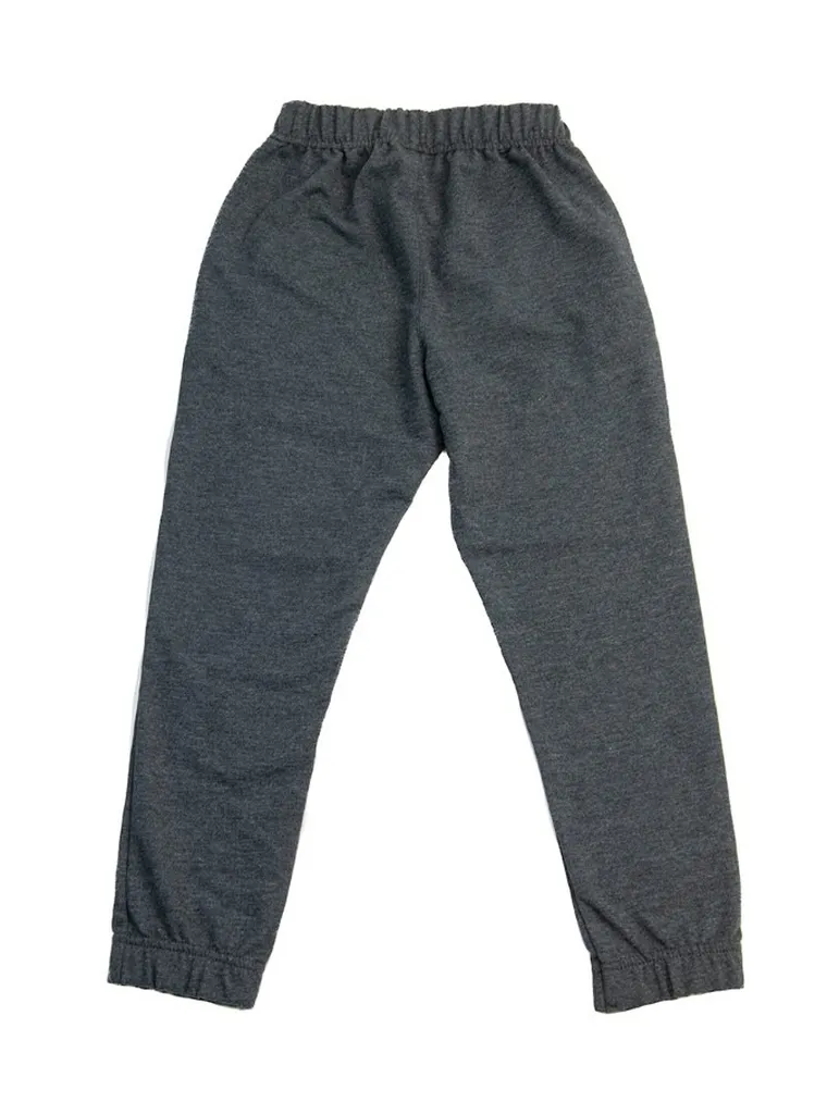 Spodnie dresowe dla chłopca, szare, Tup Tup