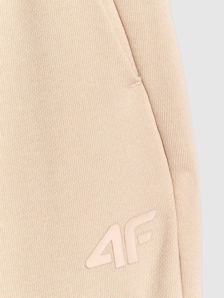 Spodnie dresowe męskie, beżowy, 4F