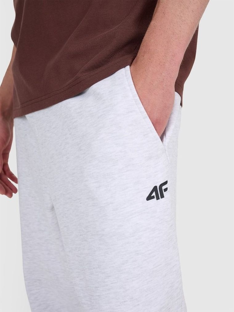 Spodnie dresowe męskie, szare, 4F