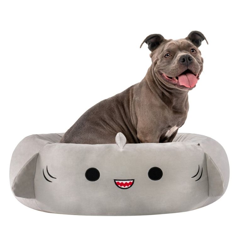 Squishmallows, legowisko dla psa, rozmiar L, 76 cm, Gordon The Shark