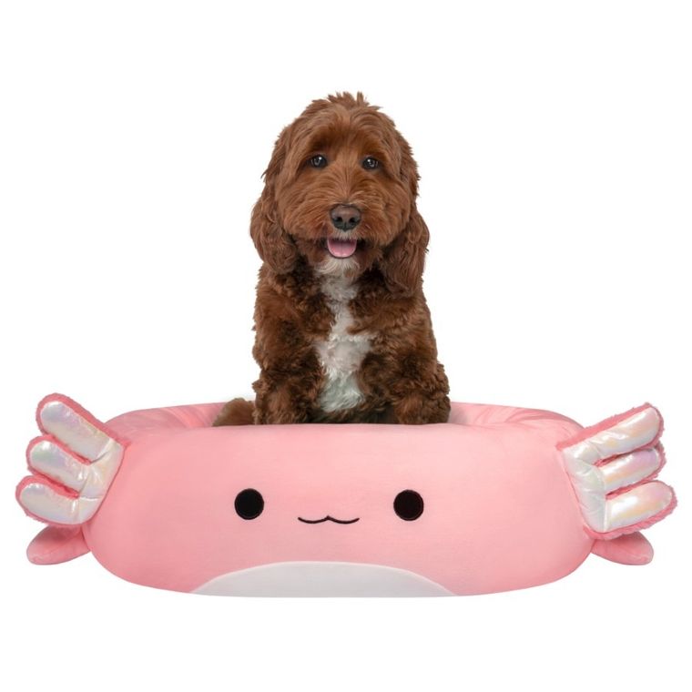 Squishmallows, legowisko dla psa, rozmiar M, 60 cm, Archie The Axolotl
