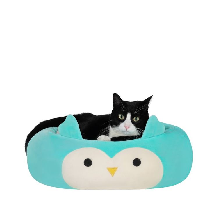 Squishmallows, legowisko dla psa, rozmiar M, 60 cm, Winston the Owl