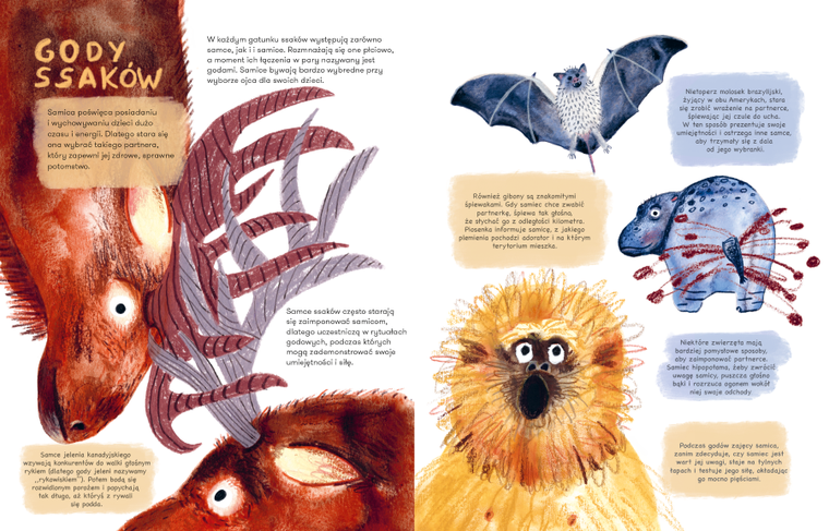 Ssaki. Jak się rozmnażają i opiekują młodymi