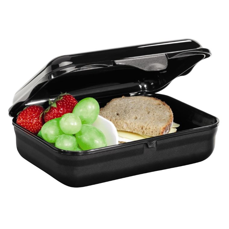 Step by Step, lunchbox, Wild Cat