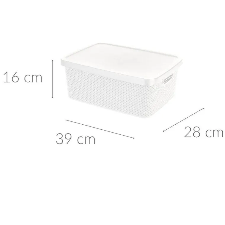 Storagesolutions, pojemnik plastikowy z pokrywą zamykany, 13 l