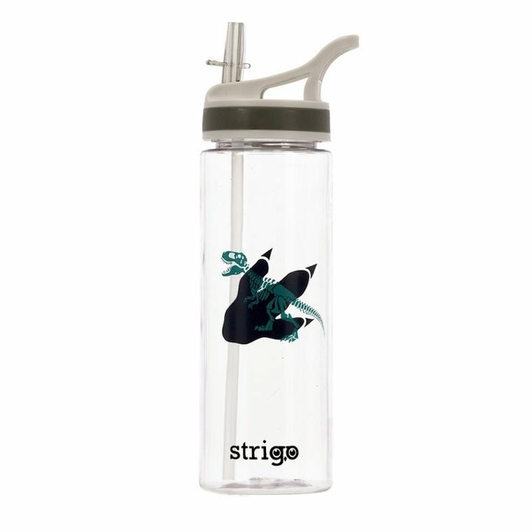 Strigo, Dinozaur, bidon, 600 ml