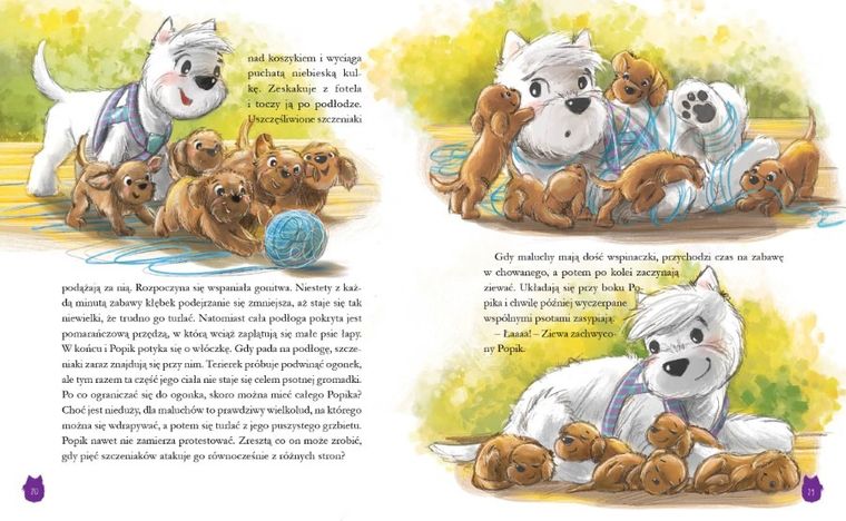 Stróż porządku. Popik i jego wielkie przygody