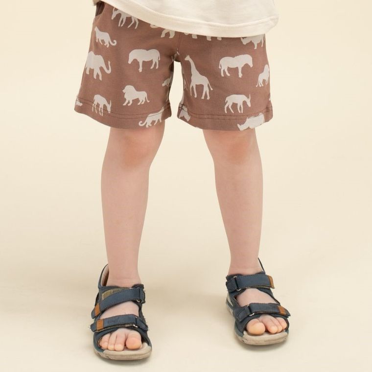 Szorty chłopięce, brązowe, Pinokio