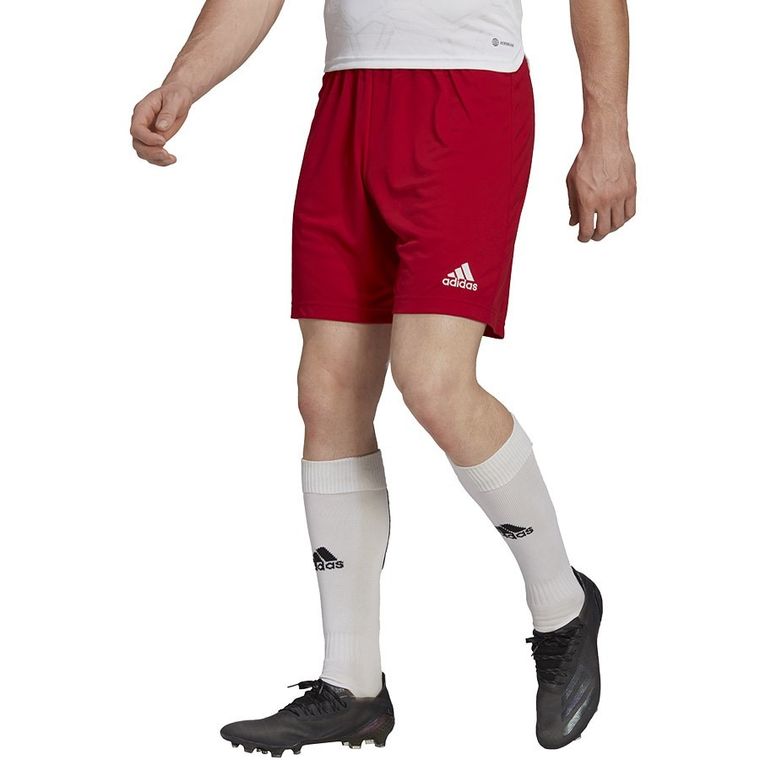 Szorty męskie, czerwone, Adidas Entrada 22 Short