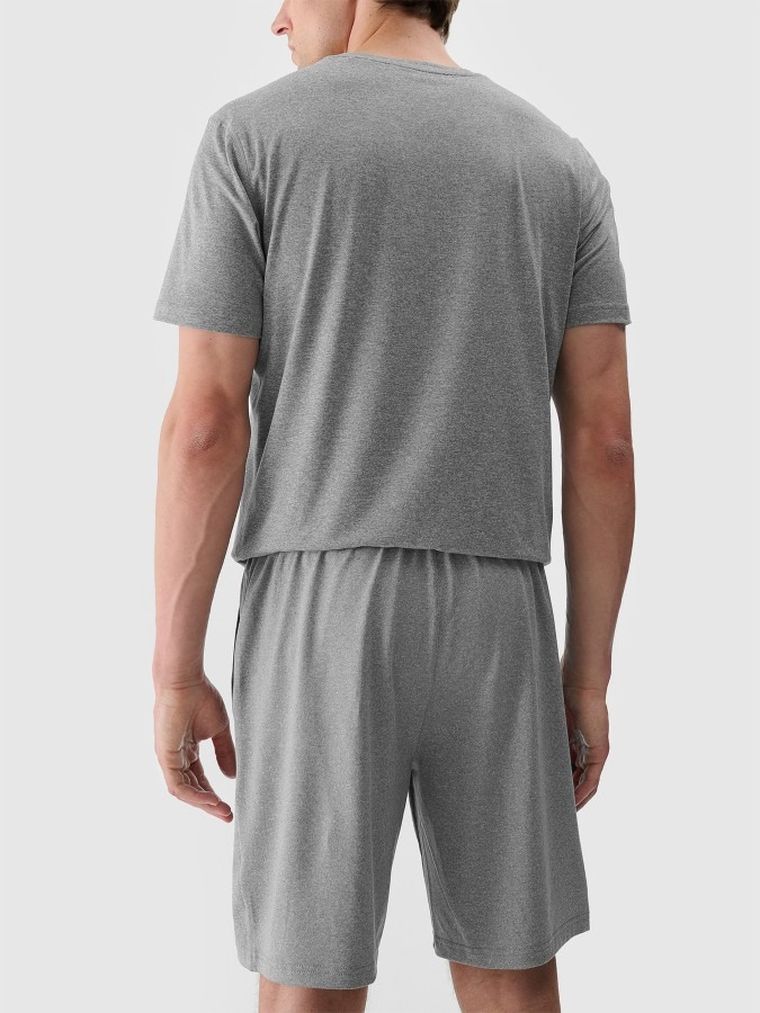 Szorty męskie, szare, 4F