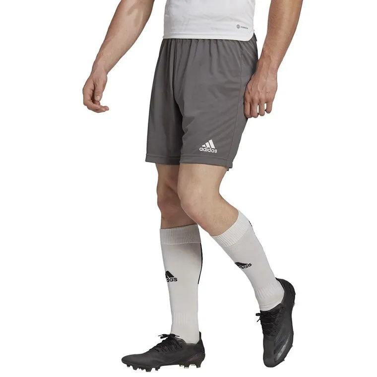Szorty męskie, szare, Adidas Entrada 22 Short