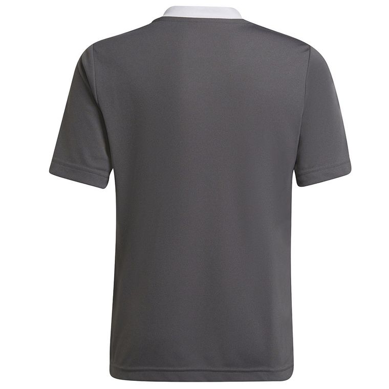 T-shirt chłopięcy, ciemnoszary, Adidas Entrada 22