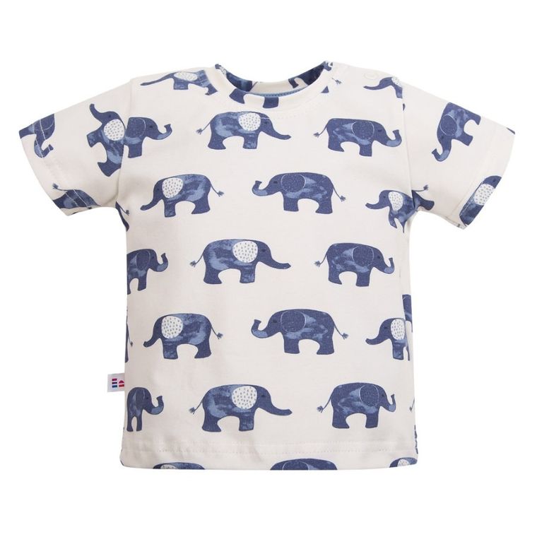 T-shirt chłopięcy, ecru, Eevi