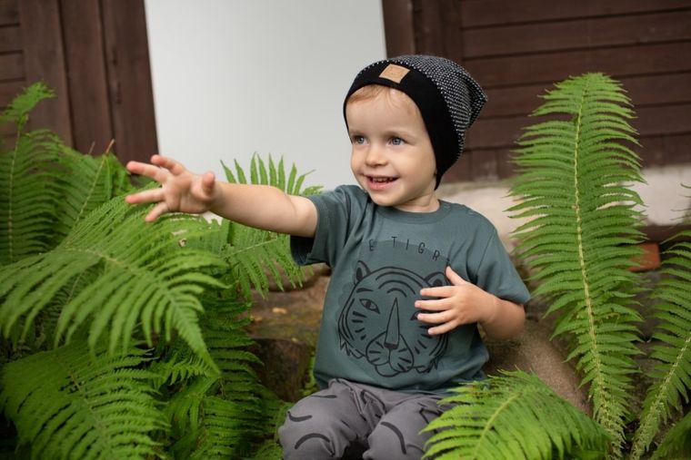 T-shirt chłopięcy, khaki, Pinokio